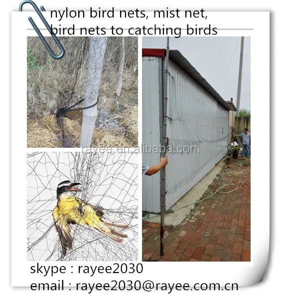Giapponese mist net per la cattura di uccelli, agricola 20mm maglia uccello rete, oiseaux capture net