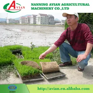 High Quality 6 Rows Rice Seed Planting Machine / Rice Planter低価格