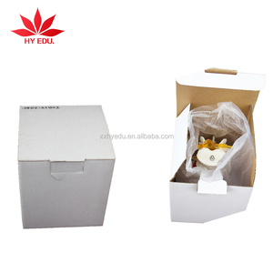 Giảng dạy Y Tế 2 Mô Hình Bộ Xương đốt sống thắt lưng với thoát vị và đĩa đệm intervertebral - Product Image 6