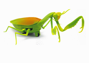 Jouets anti-insectes IR, Mantis, Autoshow drôle, coccinelle Rc, animaux - Product Image 4