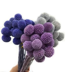 Boule d'or préservée <span class=keywords><strong>fleurs</strong></span> <span class=keywords><strong>séchées</strong></span> Billy boules boutons pour noël pâques décoration de la maison <span class=keywords><strong>Bouquet</strong></span> 20 pièces/paquet - Product Image 5