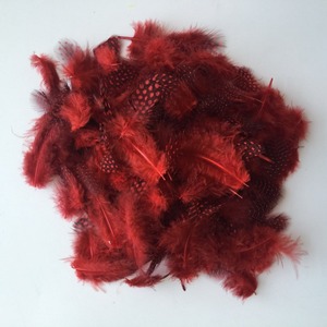 Plumas de Ganso de Alta Calidad al por Mayor, de 5-10 cm, con Puntos de Perla, para Joyería, Manualidades, Ropa y Accesorios - Product Image 3