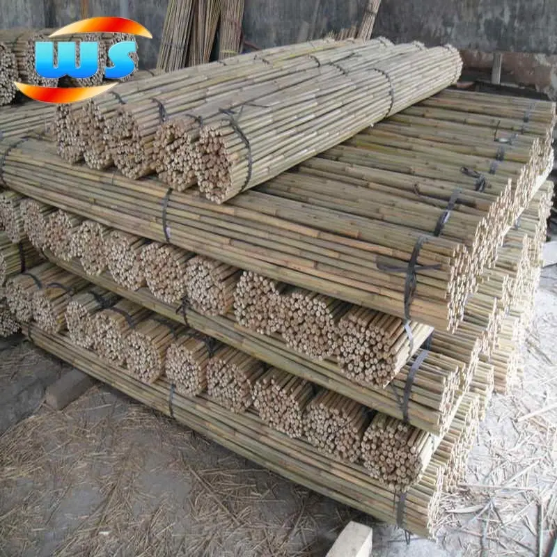 bamboo cane / poles for support plants for sale