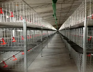 En la industria de la venta caliente galvanizado en caliente pollo batería jaulas capa de pollo jaula para pollos de engorde