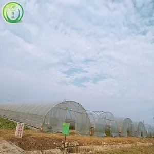 5x10m Small Home Greenhouses Fabricated Greenhouse Customized Special for Your Greenhouse Standard Hot Galvanized Steel Frame
