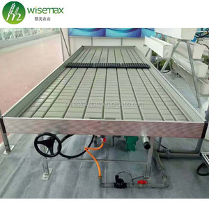 Wisemax thailand <strong>orchid</strong> <strong>nursery</strong> for sale for greenhouse medicine seeding growing flower and vegetable - Product Image 3