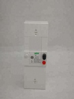 Suministro de Interruptores de Circuito Miniatura de Nuevo Diseño de 2P y 4P Tipo África 5A10A15A30A45A60A con Fuga de 300mA500mA MCB