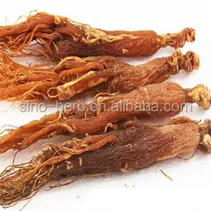 Saf doğal bitki çin Herb oryantal Ginseng ham çin otları kurutulmuş kırmızı Ginseng