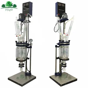 HJLab 3L totalmente personalizable Reactor con cubierta de vidrio precio