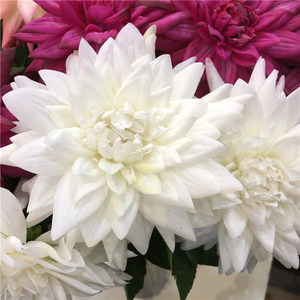 Grandes fleurs de <span class=keywords><strong>dahlia</strong></span> artificielles en latex K-1007 pour la décoration de la maison et fleurs de <span class=keywords><strong>dahlia</strong></span> artificielles au toucher réel - Product Image 4