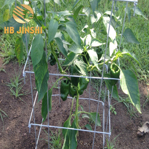 Jaula Cuadrada Plegable Galvanizada de 4 Paneles para Tomates, Torre de Soporte para Plantas - Product Image 6