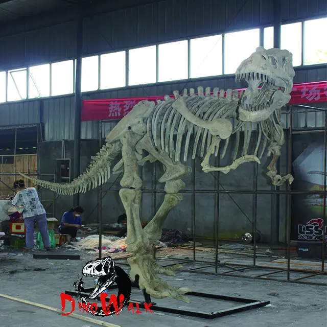 Dino1572 Modelo de Esqueleto de Dinossauro em Tamanho Natural de Animais Para Venda