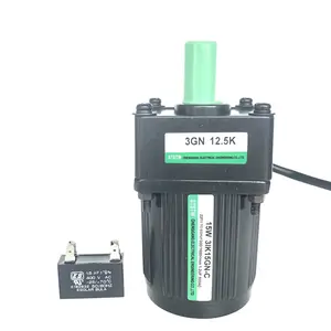 15 w एसी 110 v 220 v एकल चरण या तीन चरण प्रेरण गियर मोटर