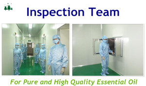 Óleo de turpentina puro e natural 85% ou 65% de pinha, óleo de pinha orgânica - Product Image 5