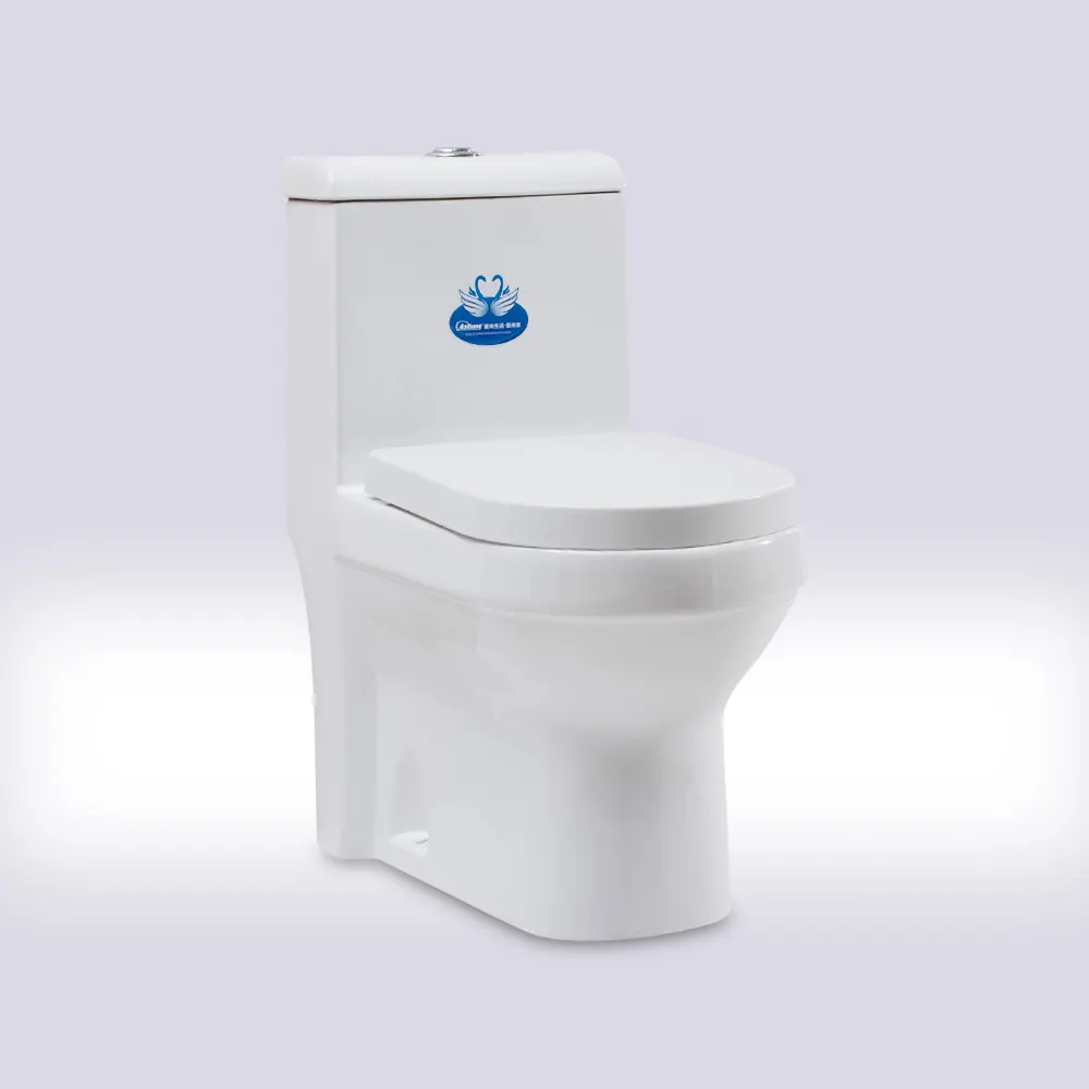 Entretien de la salle de bain en céramique, toilette Standard de Style Simple et toilette à une pièce