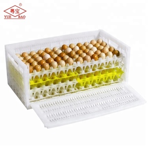 Poultry Farming Chicken Use And White Color Plastic Egg Crate Boxes For Plastic Egg Trays Transport