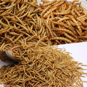 Mealworm secca Additivo per Mangimi Per Animali - Product Image 5