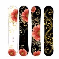 סיטונאי Custom סקי פרק שלג לוח אבקת סנובורד - Product Image 5