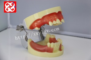 Edentula implant modello di pratica con gomma morbida per il taglio, la sutura e di impianto può essere fissato in dental simulator testa - Product Image 2