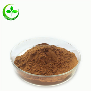 순수 추출물 영지, 영지 버섯 분말 - Product Image 1