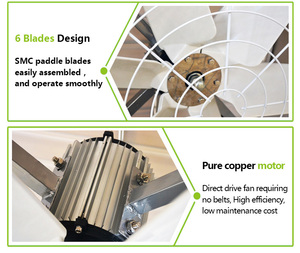 Maxesc OEM ODM 1060 <span class=keywords><strong>1460</strong></span> Ventilateur d'extraction conique en fibre de verre FRP pour serre et bâtiment avicole - Product Image 6