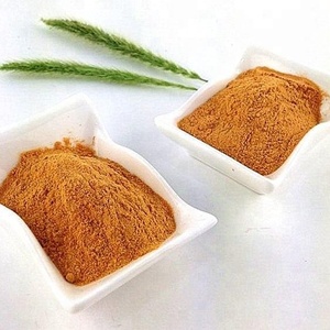 Domates özü tozu kurutulmuş kurutulmuş domates tozu fiyatı - Product Image 2