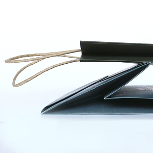 OEM Custom Printed Kraft Fancy Shopping Paper <strong>Bag</strong> with Gift Packaging <strong>Handle</strong> Display Your Own Logo on Premium Craft <strong>Bags</strong> - Product Image 5