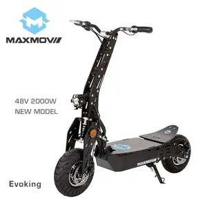 2000W high speed powerful popular dual motor skate electric scooter for adult