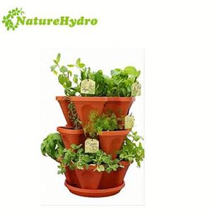 Venta caliente <span class=keywords><strong>Bonsai</strong></span> de <span class=keywords><strong>cultivo</strong></span> hidropónico de plantas - Product Image 5