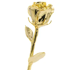 2023 Rose immerse in oro con confezione regalo di alta qualità per sempre oro rosa per regalo per la festa della mamma, san valentino e regalo di natale