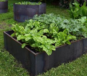 Plantador de jardín de acero para cultivo de verduras, <span class=keywords><strong>cama</strong></span> elevada - Product Image 4