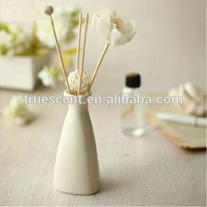 Olla de vino de cerámica de la forma de la botella de hielo crujía botlle conjunto difusor ts-fd85 - Product Image 1