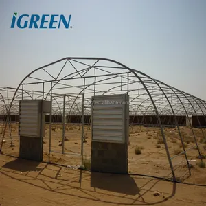 200 micron plastic film dome half moon greenhouse supplier for middle east