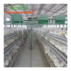 하이브리드 닭 Suppliers-저렴한 자동 닭 층 감금소 필리핀에서