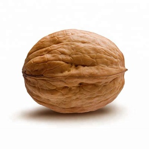 อาหารเพื่อสุขภาพธรรมชาติจีนวอลนัท - Product Image 3