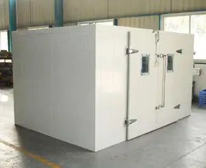 2 Tons Capacity Meat Frozen Cold Room, Cold Storage Room