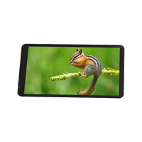Écran tactile capacitif vertical LCD OLED mobile HD 5,5 pouces 720*1280 dans Micromax