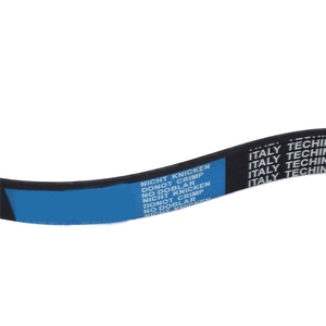 Kit de polea tensora y correa 6PK1100 030145299F 433K6 5060433 PK060434 para Audi Seat Ibiza Skoda - Product Image 2