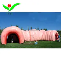 Science Centre inflatable giant colon entrance tunnel