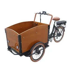 No Import Duty Front Kids Baby Seats Fashion Electric Family Cargo Bikes with Rain cover