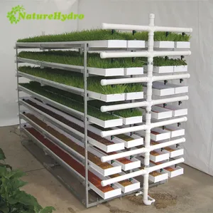 Hydroponic fodder system green fodder trays barley sprouting machine