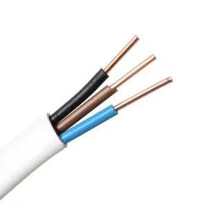 Fil électrique et câbles plats à trois noyaux et jumeaux vers câble électrique en PVC BS6004 câble d'alimentation en gaine en PVC isolé par chauffage en cuivre