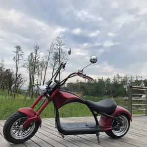 EEC COC emark European Warehouse Stock Electro scooter self balancing two wheel electric bike bicycle for adults