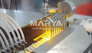 Ampoule sterilizing tunnel dryer manufacturer - Product Image 6