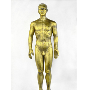 Antique <span class=keywords><strong>Bronze</strong></span> HD châm cứu con người mô hình y học cổ truyền Trung Quốc Bảo tàng trang trí huyệt rõ ràng - Product Image 3