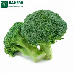 JIAHERB 18 年 6 家工厂提供 100% 纯天然植物提取物西兰花果汁粉芸苔属产品 Linnaeus 认证