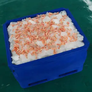 Roto-caja de hielo moldeada, contenedor de pescado, almacenamiento de pescado, cofre de hielo, enfriador grande para peces