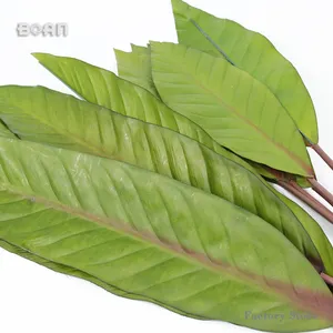 Handmade Artificial Leaves Banana Leaf For Home Fleuriste Decor