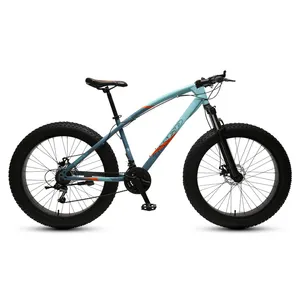 20 Inch Fat Tire Mountain Cycle