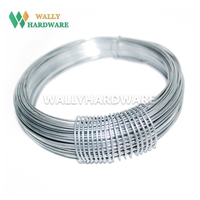 Fil d'acier à faible teneur en carbone galvanisé, revêtement PVC, haute résistance à la traction 350-550N/mm, certifié ISO9001/CE pour cintre de jardin